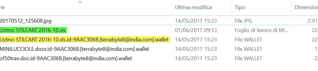 Rimuovere e decriptare i file con estensione wallet